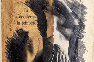 photo MoKo  « Tu récolteras la tempête ! »  (même sous un ciel bleu...) 